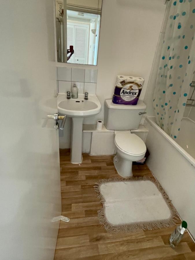 Vibrant & Cosy London Apartment Near Wembley Dış mekan fotoğraf